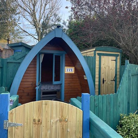 Glamping In The 2Nd Field Hotel Aughrim Exterior foto